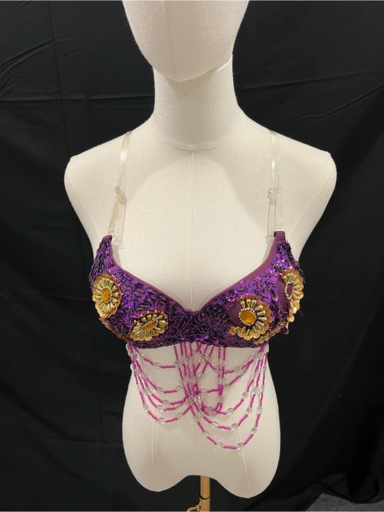 Other - Purple Beaded Embellished Bra Top